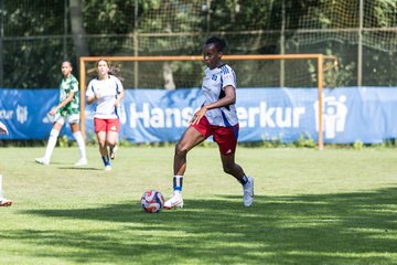 Bild 384 - wBJ Hamburger SV - VfL Wolfsburg : Ergebnis: 5:1